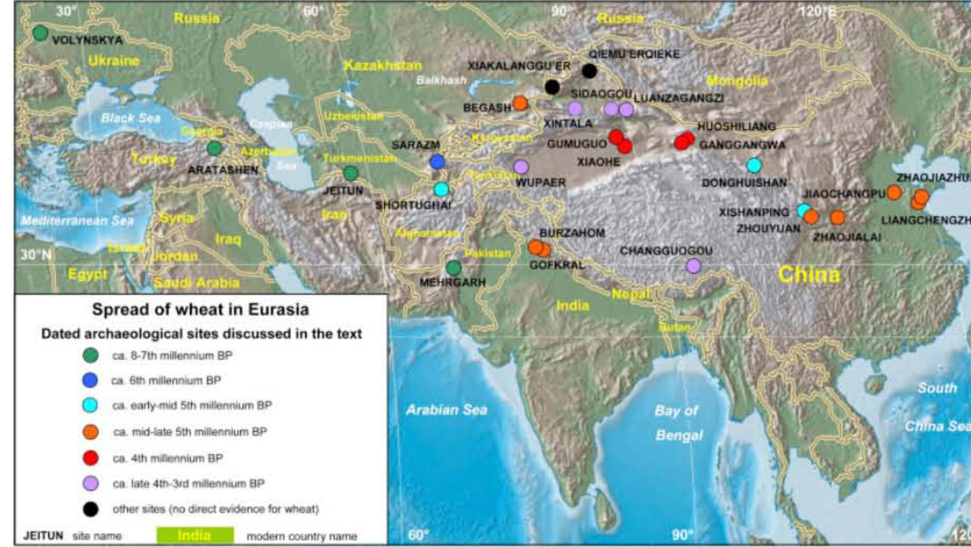 小麦在欧亚大陆的传播
