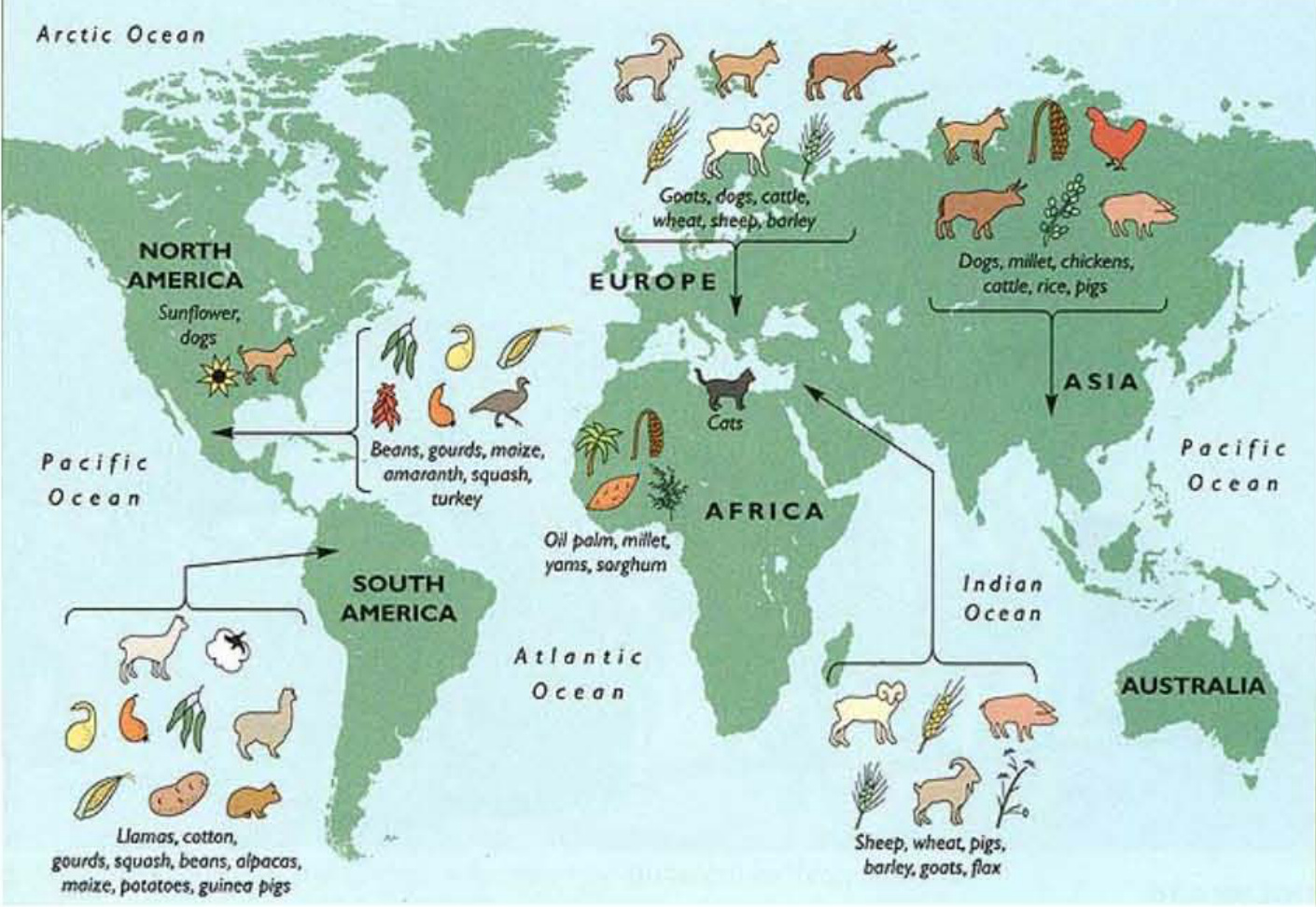 早期动植物驯化分布图