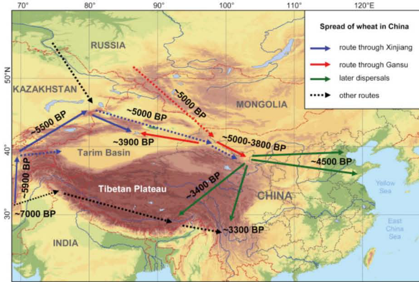 小麦在中国的传播路线